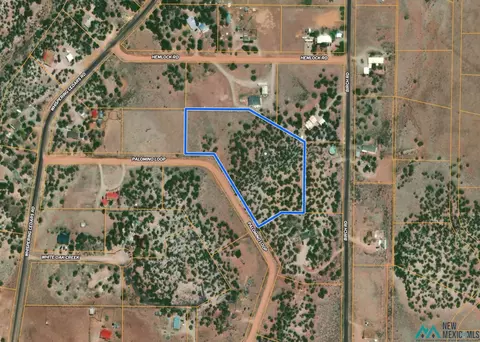 Palomino, Jamestown, NM 87347