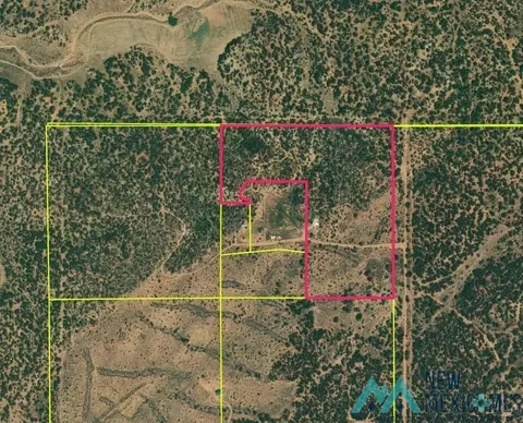 51 Panther, Vanderwagen, NM 87301