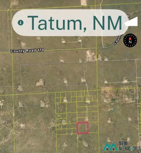 Tatum, Tatum, NM 88267