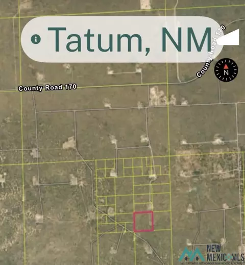 tbd Tatum, Tatum, NM 88267
