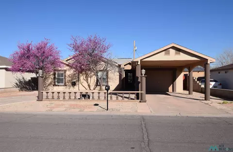 1115 S Santa Barbara St, Deming, NM 88030