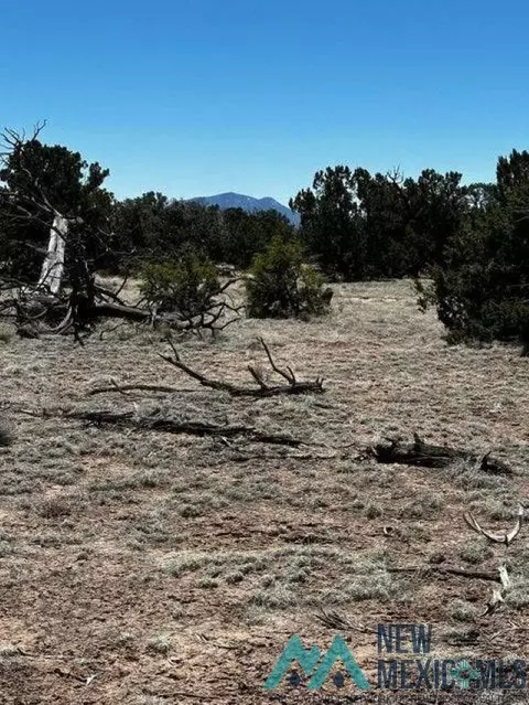 Nn Tomahawak Trail, Quemado, NM 87829