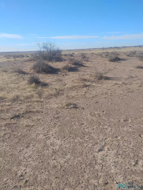 Nnnn Ponderosa Rd Se, Deming, NM 88030