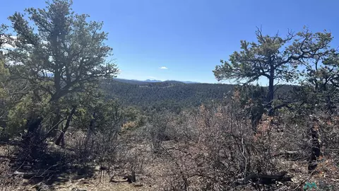 30 L-bar Rd, Pie Town, NM 87827