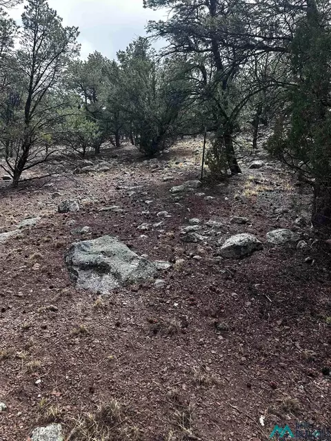 9 Juniper, Datil, NM 87821 photo 5