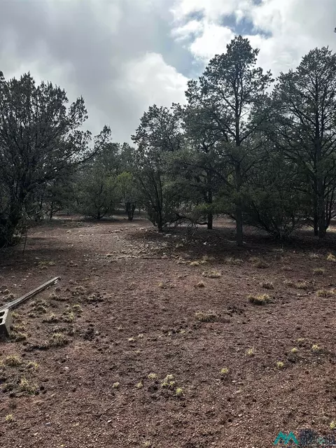 9 Juniper, Datil, NM 87821 photo 12