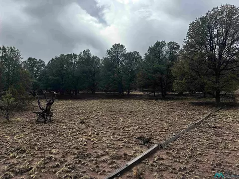 9 Juniper, Datil, NM 87821 photo 13
