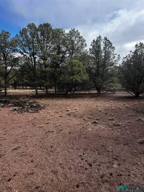 9 Juniper, Datil, NM 87821 photo 2