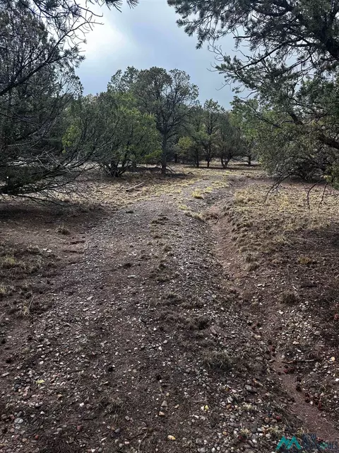 9 Juniper, Datil, NM 87821 photo 11