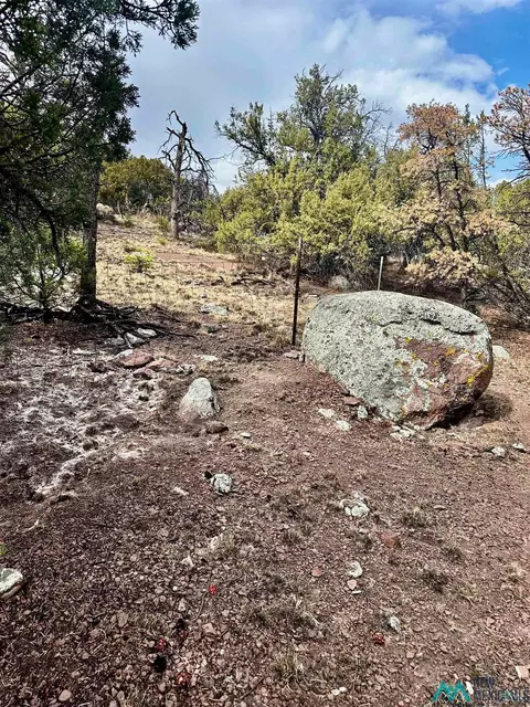 9 Juniper, Datil, NM 87821 photo 4