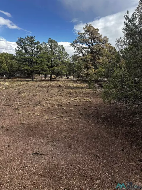 9 Juniper Way, Datil, NM 87821