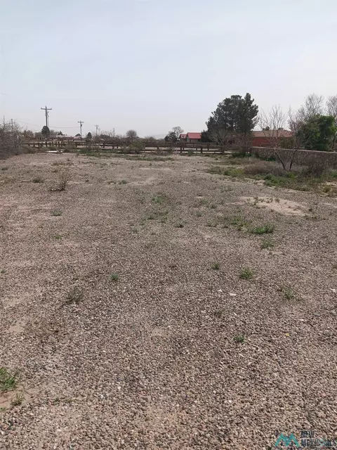3001 Appalosa Rd Sw Dr, Deming, NM 88030