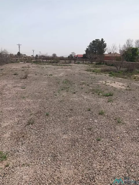 3001 Appalosa Rd Sw Dr, Deming, NM 88030