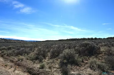 Pajarito, Tierra Amarilla, NM 87575