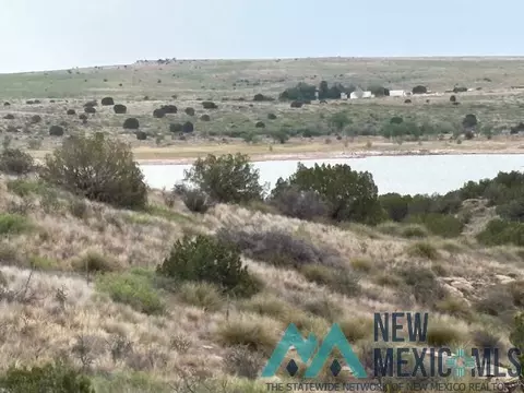 66 Pheasant Ln, Lake Sumner, NM 88119