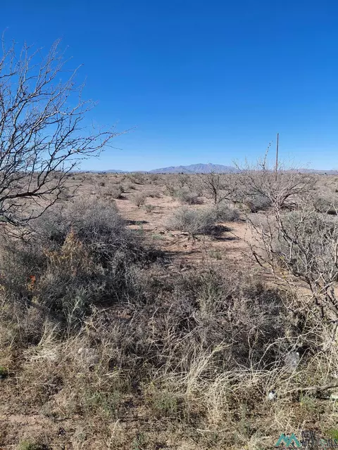Nn Dona Ana Road, Deming, NM 88030