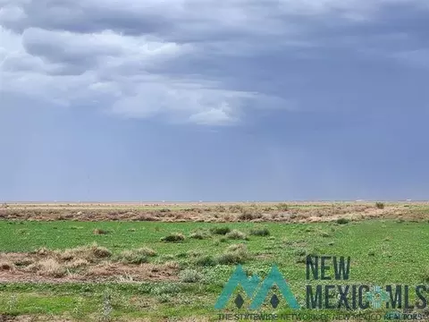 SE Ocotillo, Deming, NM 88030