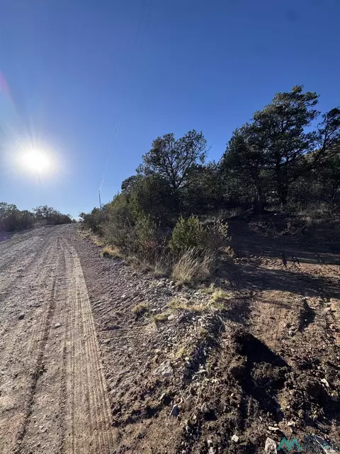 lot80 Longfellow Rd, Timberon, NM 88350