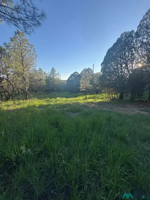lot12 19 Rio Pinar Dr, Timberon, NM 88350
