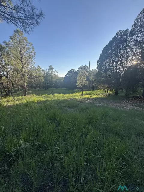 lot12 19 Rio Pinar Dr, Timberon, NM 88350