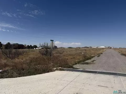 tbd Rolling Meadows St, Hobbs, NM 88242