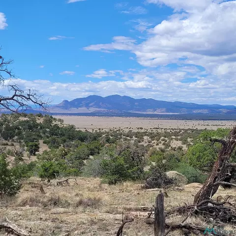 Nn Lookout Loop, Datil, NM 87821