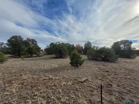 47 Cougar Run, Datil, NM 87821 photo 4