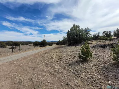 47 Cougar Run, Datil, NM 87821 photo 36