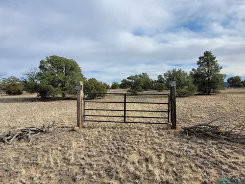 47 Cougar Run, Datil, NM 87821 photo 8