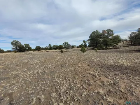 47 Cougar Run, Datil, NM 87821 photo 5