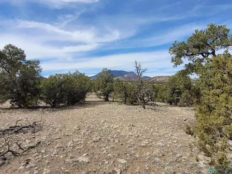 47 Cougar Run, Datil, NM 87821 photo 35