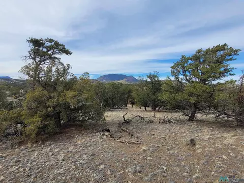 47 Cougar Run, Datil, NM 87821 photo 19