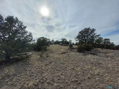 47 Cougar, Datil, NM 87821 photo 24