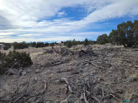 47 Cougar Run, Datil, NM 87821 photo 3