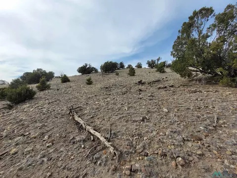 47 Cougar Run, Datil, NM 87821 photo 14