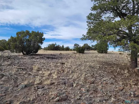 47 Cougar Run, Datil, NM 87821 photo 2