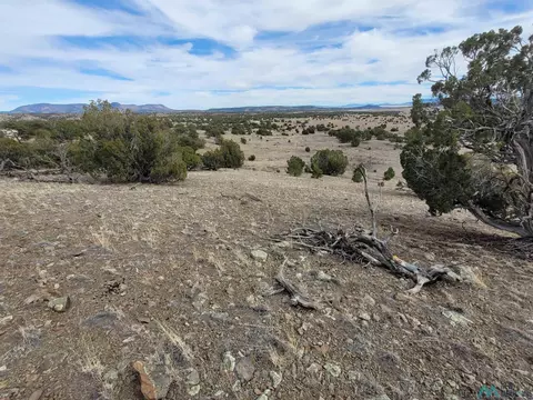 47 Cougar Run, Datil, NM 87821 photo 17