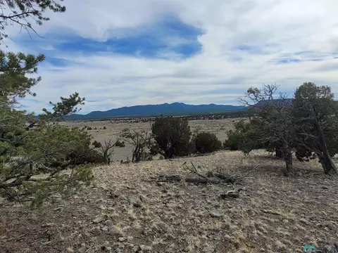 47 Cougar Run, Datil, NM 87821 photo 18