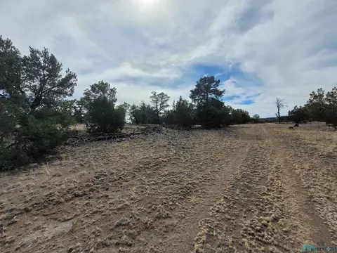 47 Cougar Run, Datil, NM 87821 photo 38