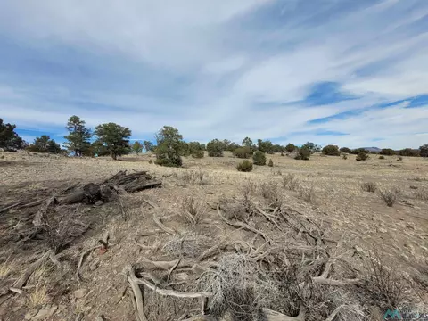 47 Cougar Run, Datil, NM 87821 photo 13