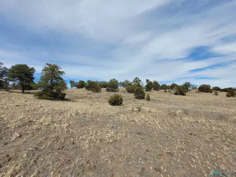 47 Cougar Run, Datil, NM 87821 photo 12