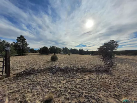 47 Cougar, Datil, NM 87821 photo 7