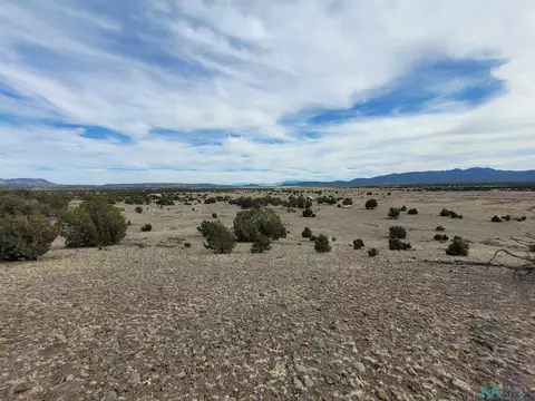 47 Cougar Run, Datil, NM 87821 photo 15