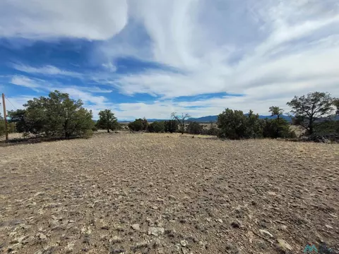 47 Cougar, Datil, NM 87821 photo 32