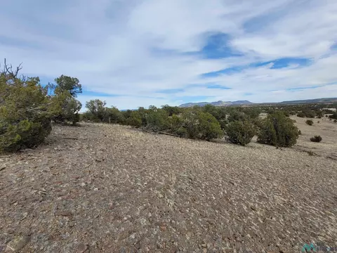 47 Cougar Run, Datil, NM 87821 photo 16