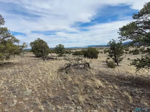 47 Cougar Run, Datil, NM 87821 photo 9