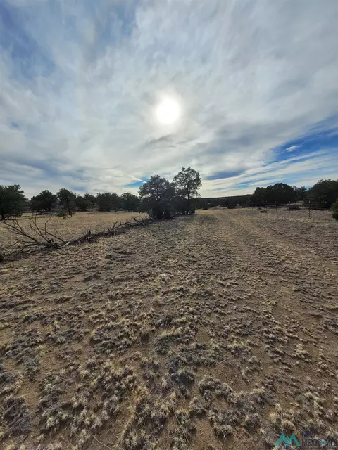 47 Cougar Run, Datil, NM 87821 photo 6