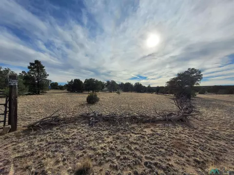 47 Cougar Run, Datil, NM 87821 photo 7