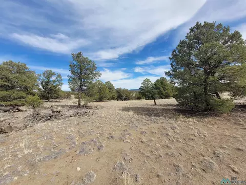 47 Cougar Run, Datil, NM 87821 photo 33
