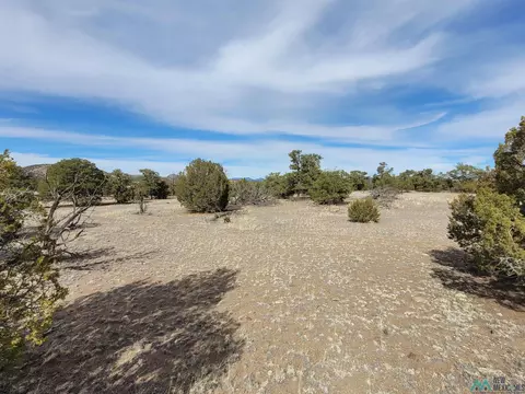 47 Cougar Run, Datil, NM 87821 photo 27